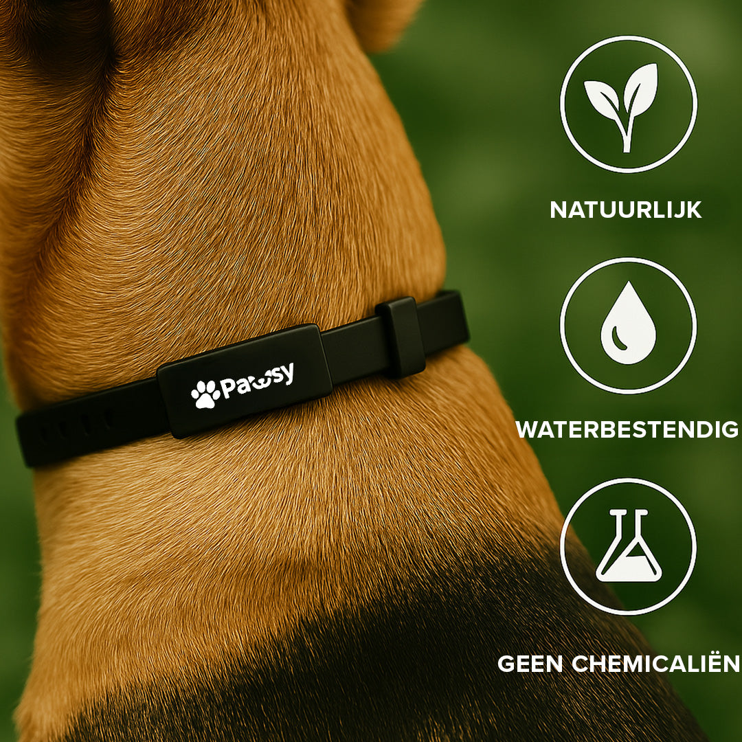 Pawsy™ – Anti-vlooien- en tekenhalsband voor honden
