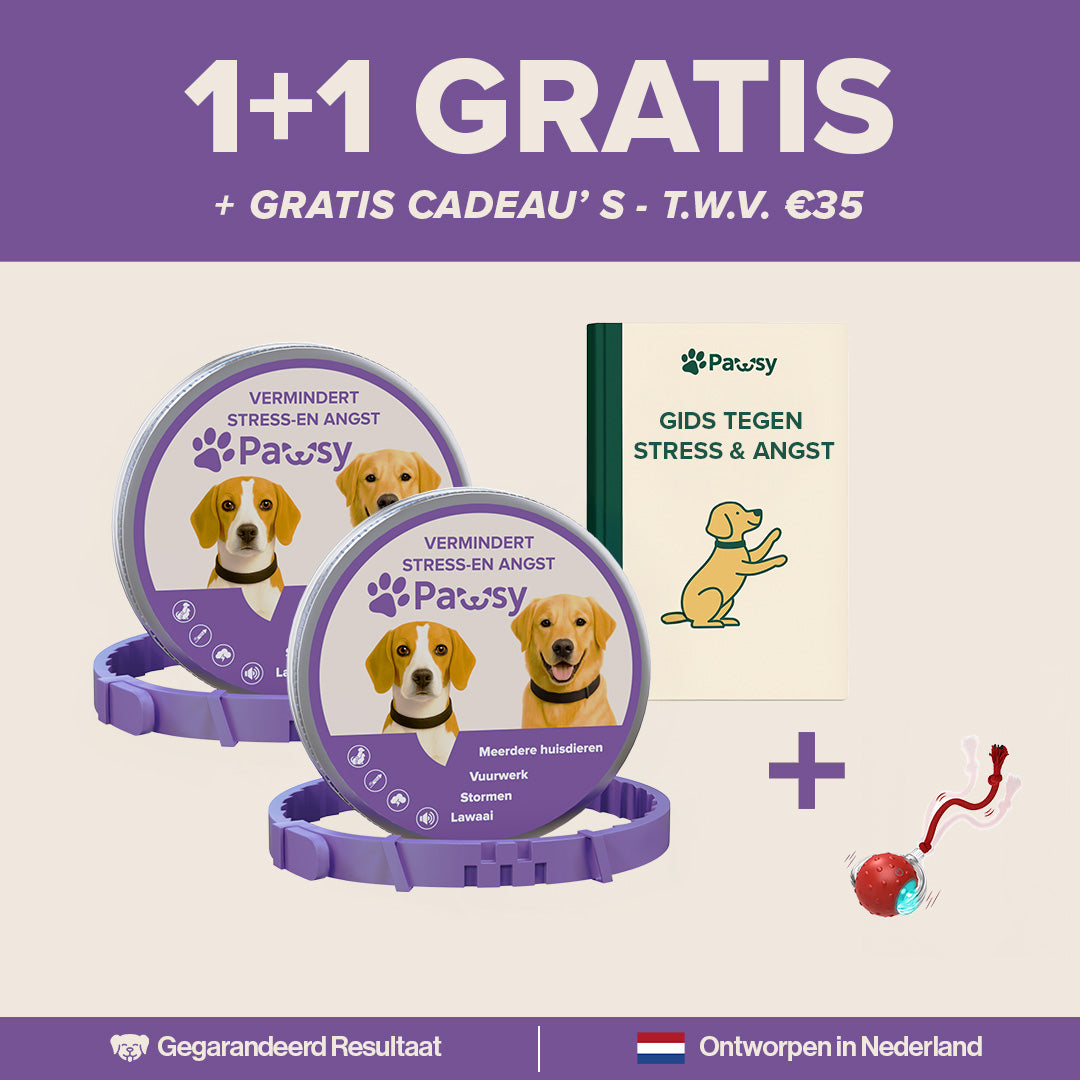 Pawsy™ – Anti-stress- en angsthalsband voor honden
