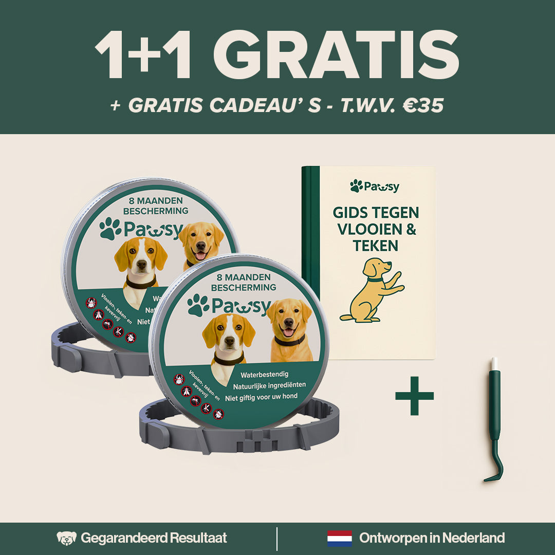 Pawsy™ – Anti-vlooien- en tekenhalsband voor honden