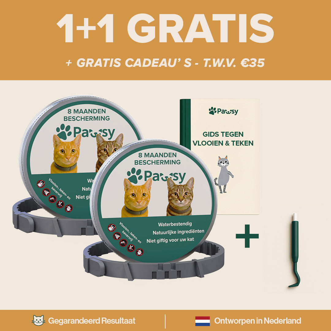 Pawsy™ – Anti-vlooien- en tekenhalsband voor katten