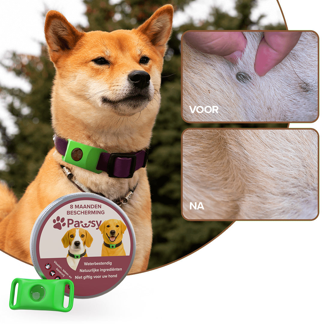 Pawsy™ – Anti-vlooien- en teken hanger voor honden