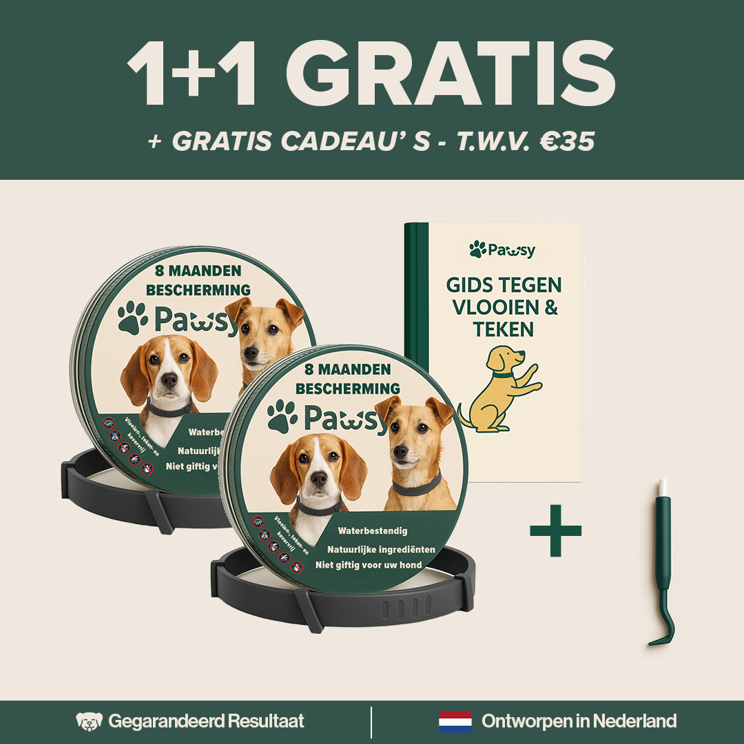 Pawsy™ – Anti-vlooien- en tekenhalsband voor honden