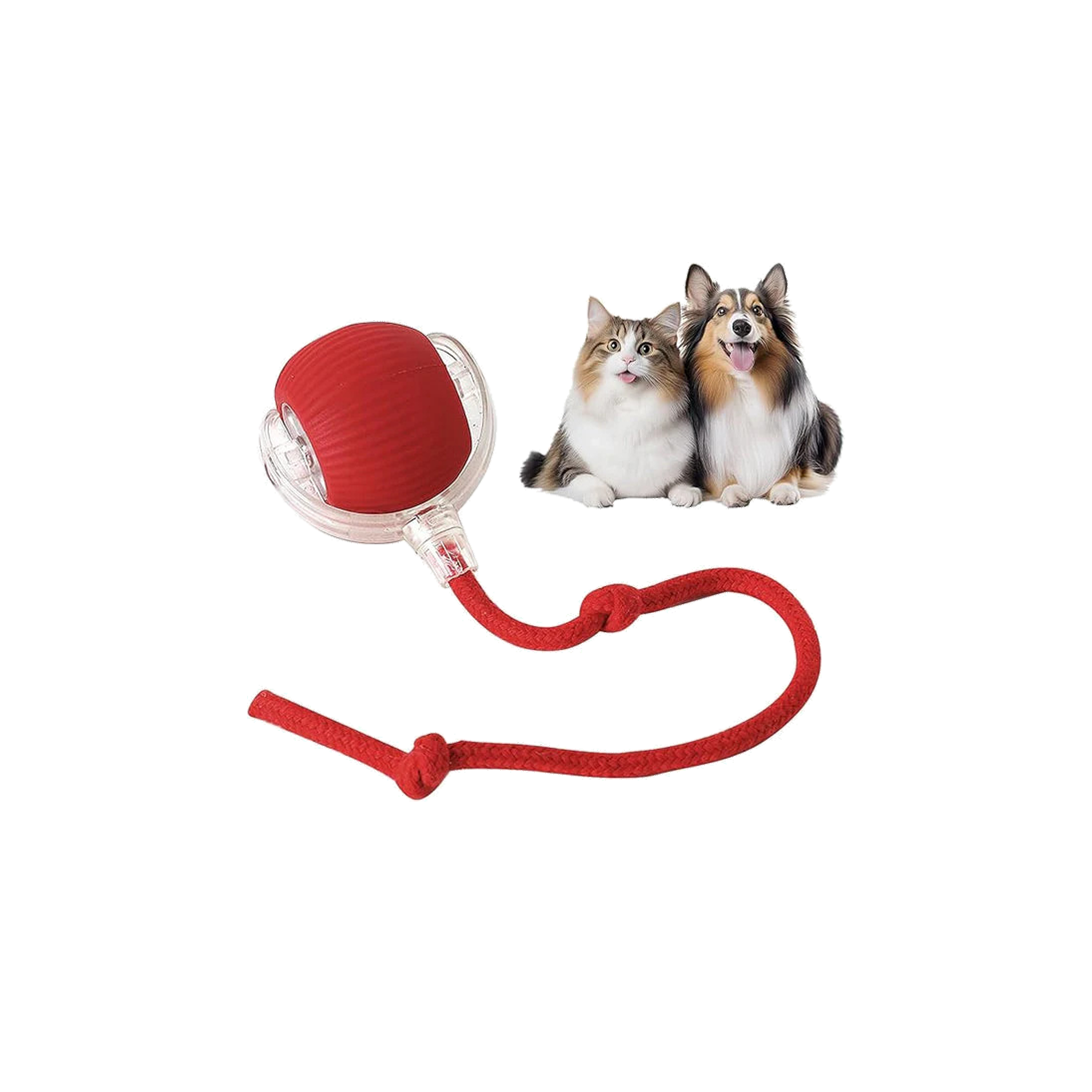Pawsy ™ - Slimme Speelbal