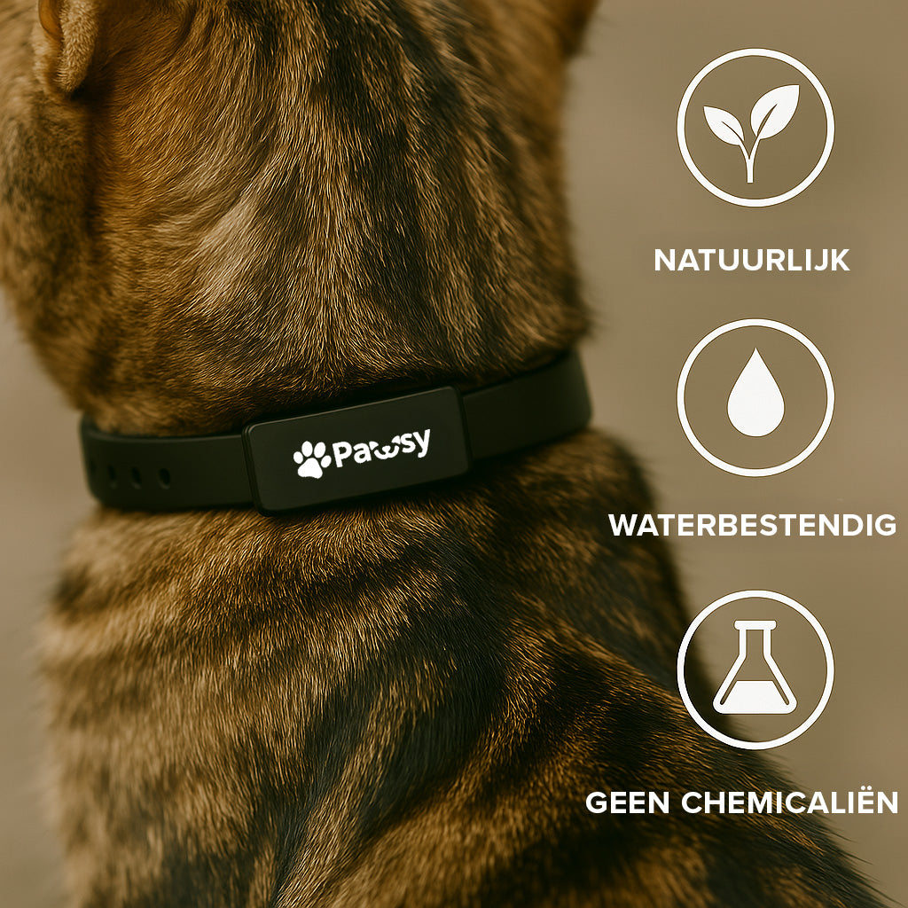 Pawsy™ – Anti-vlooien- en tekenhalsband voor katten